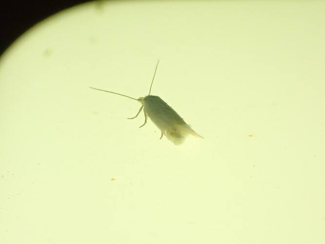 P7030790
