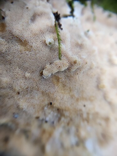 IMG_20250629_091723