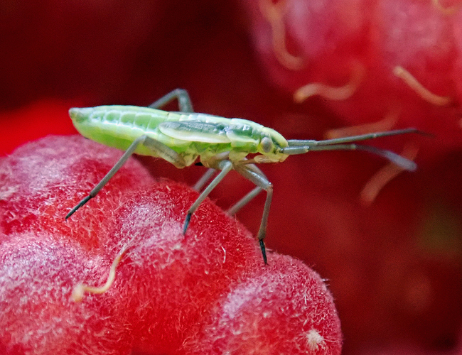 P8032060