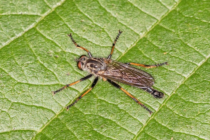 20210710-EOS R6_9999_39