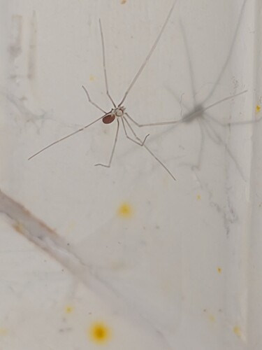 PXL_20250907_151125693