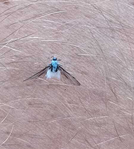 IMG-20240920-WA0004