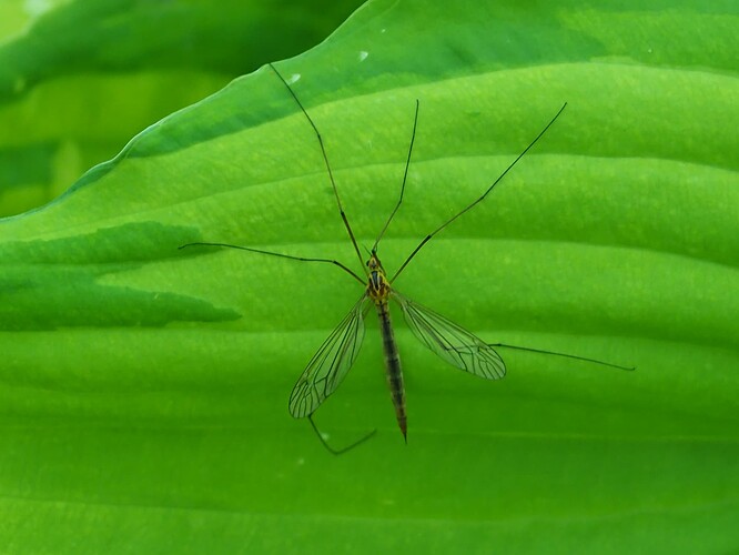 P7020146