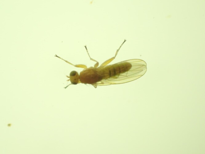 P9276617