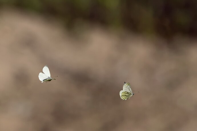 helsinki_20250516_0208-Edit