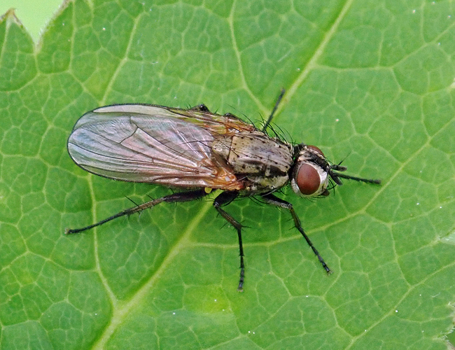 P6111790