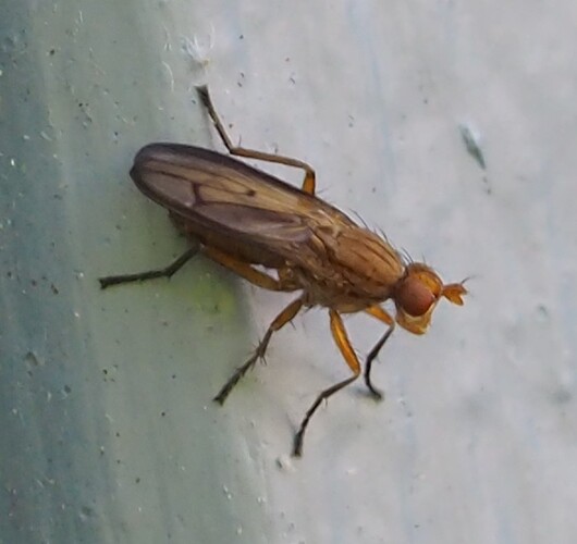P7050055_2