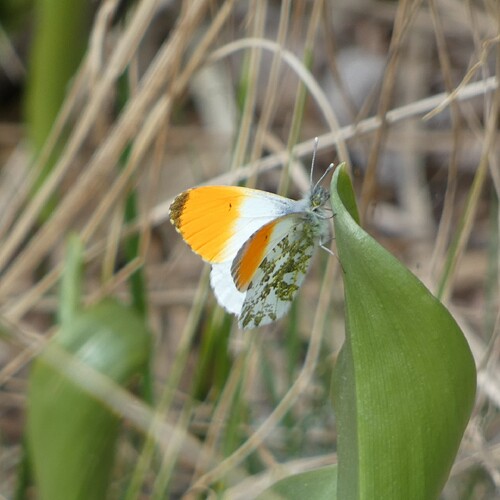 1110130_edit_1911996424876982