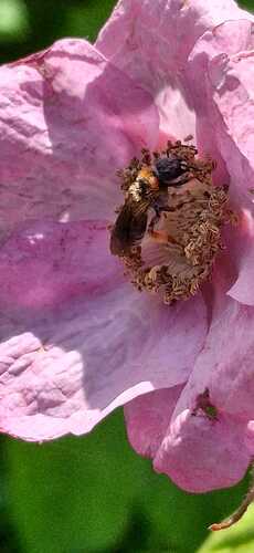 IMG-20250705-WA0012