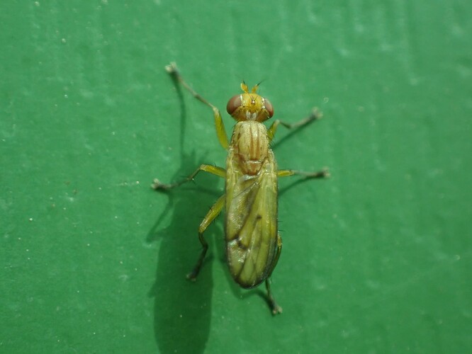 P7010607