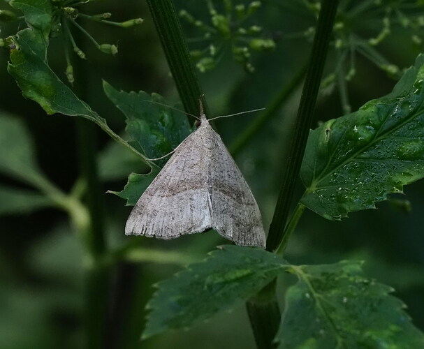 P8050028
