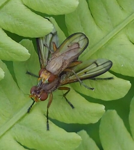 P7140055_2