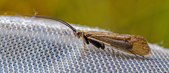 _DSC1495