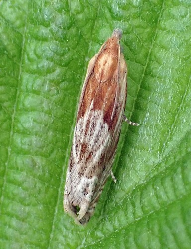 P7030121