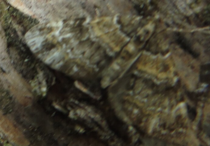 a032_20250726_Taivalkoski