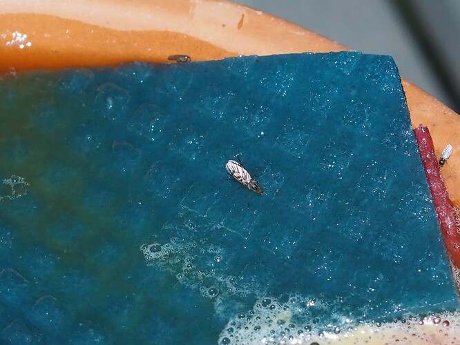 P8070054