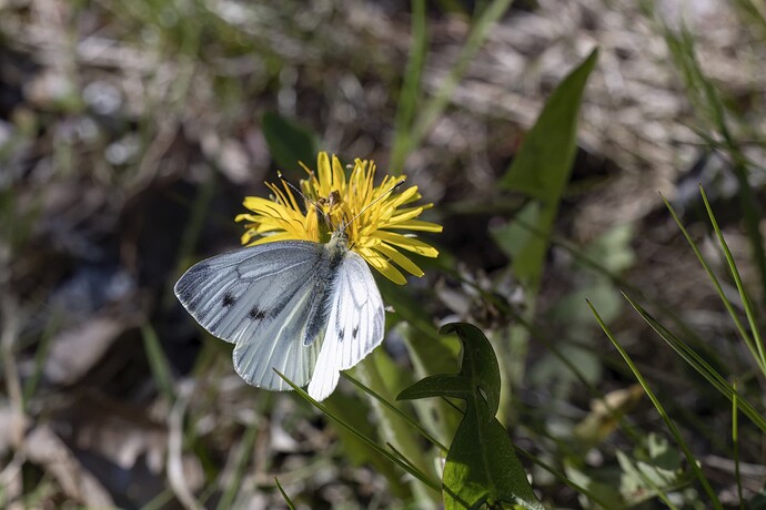 helsinki_20250516_0028-Edit