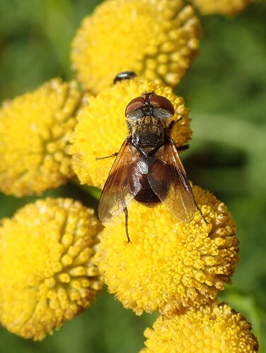 P8171319