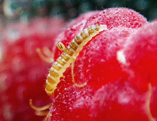 P8032128