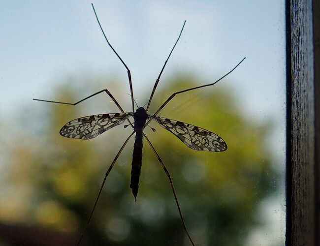 P6100055