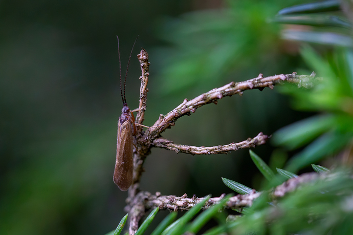 sastamala_20200622_0258_edit
