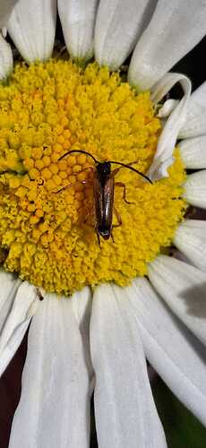 IMG-20250713-WA0007