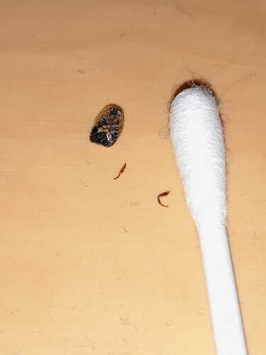 WhatsApp-Kuva 2025-11-29 klo 10.30.47_bed395e9