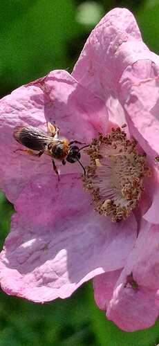 IMG-20250705-WA0013
