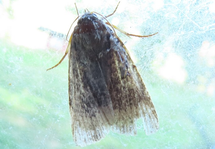 a046_20240907_Joutsa
