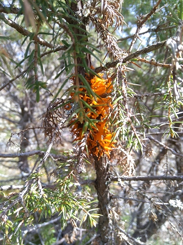 IMG-20200530-WA0000