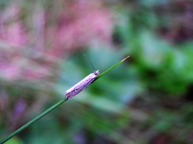 P7310091 (2)