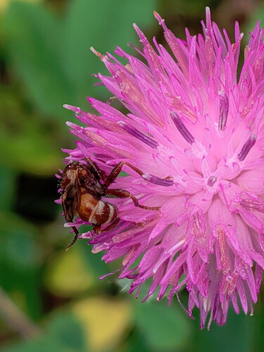 PXL_20250730_111931196