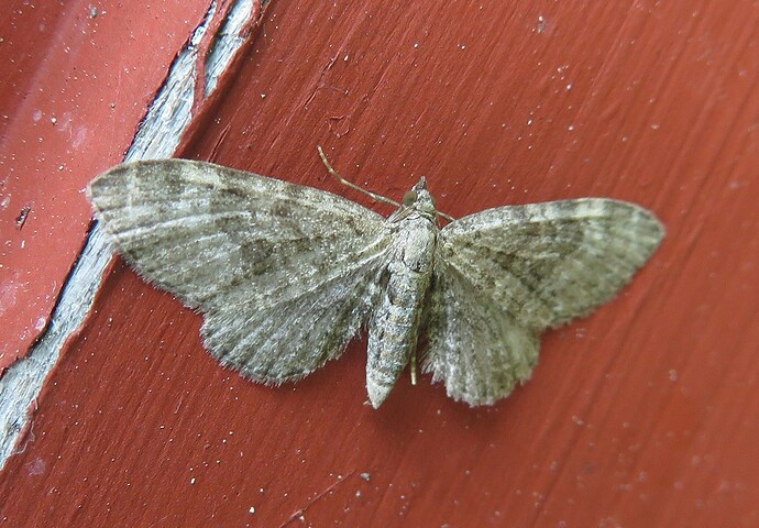 a009_20220623_joutsa