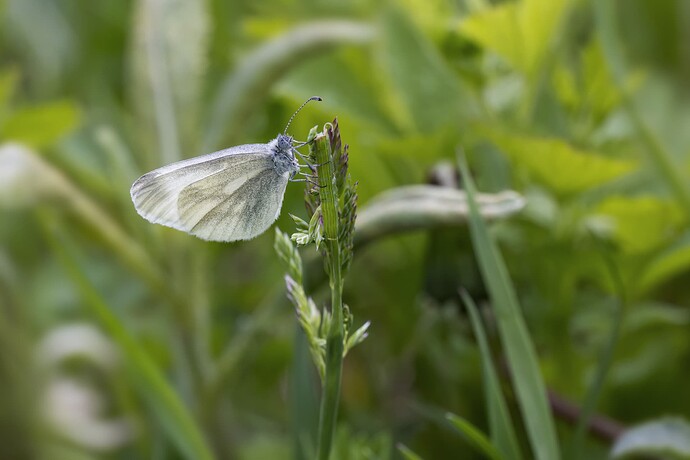 helsinki_20250529_0926-Edit