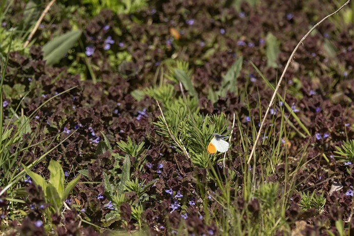 helsinki_20250516_0211-Edit