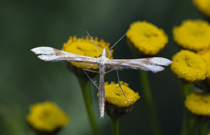 tn250723-0285