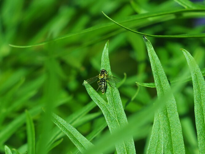 P7010006