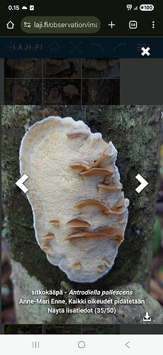 Screenshot_20251219_001536_Chrome