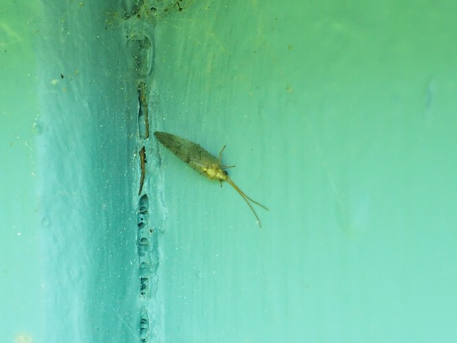 P7040002