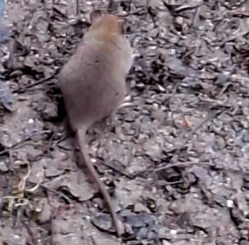 signal-2025-11-29-12-58-48-073-2