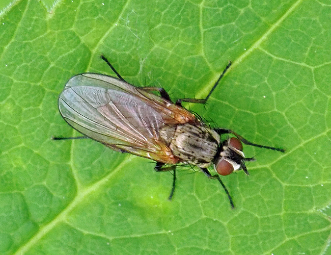 P6111791