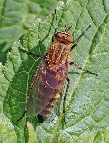 P6180842
