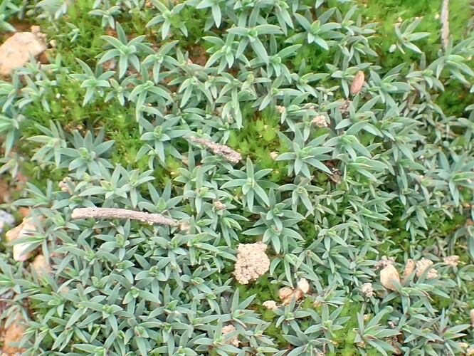 P7242498 2