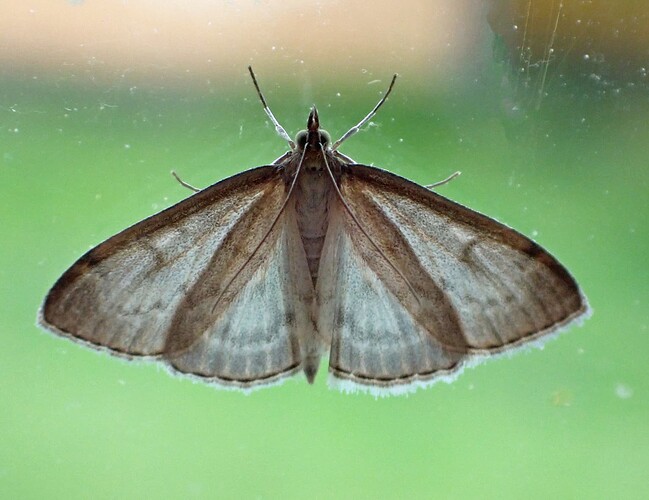 P7030020