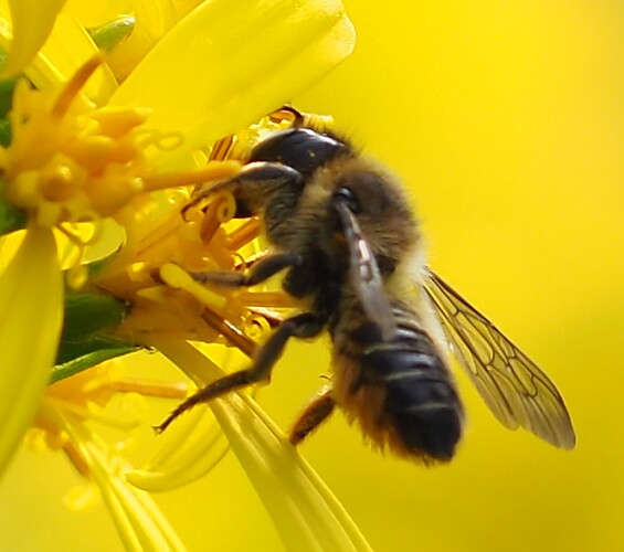 P7240020_2