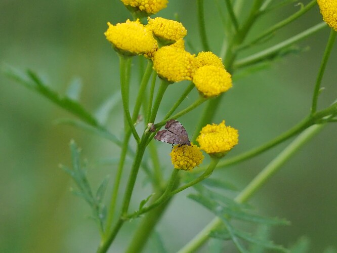 P8030132