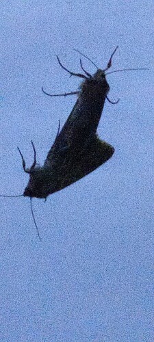 IMG_20250703_024843