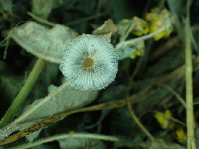 P7195766