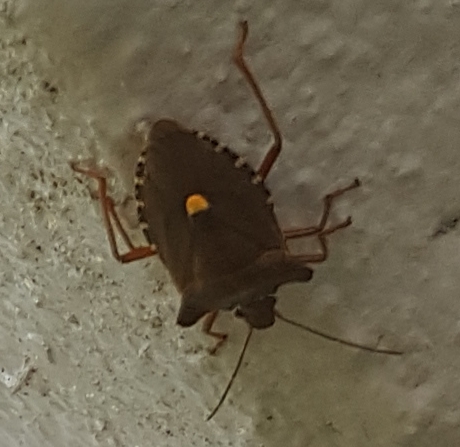 20180727_151732