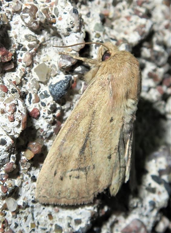 IMG_3857%20(2)%20(Medium)